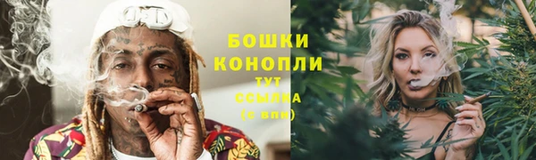 mdpv Медвежьегорск