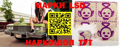 mdpv Гатчина