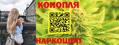 mdpv Гатчина