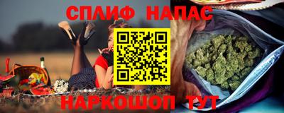 mdpv Гатчина