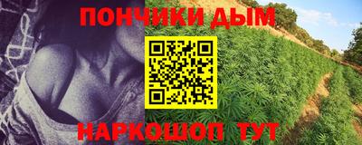 mdpv Гатчина