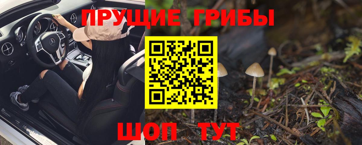 Псилоцибиновые грибы Psilocybine cubensis  Вход с VPN  Жуковский  Псилоцибиновые грибы MAGIC MUSHROOMS 