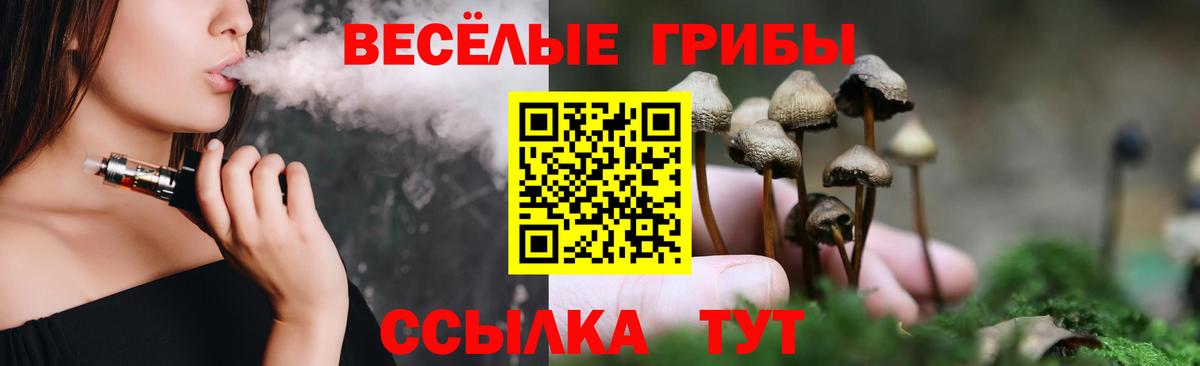 Галлюциногенные грибы Cubensis Жуковский
